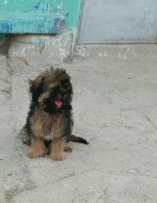 solo_para_ti18's profile picture. Noticias Generales Deportes locales Entretenimiento Música Artes y Cultura Comida y Bebida Ciencia y Tecnología Noticias de Ciencia Programas de Televisión