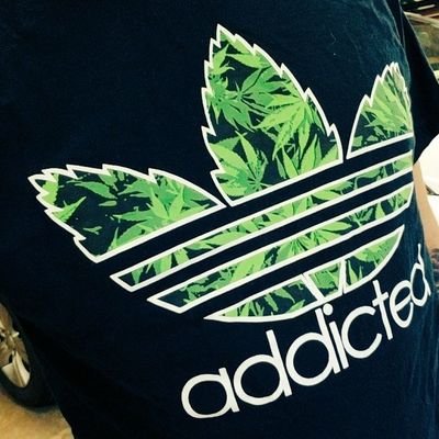 Not ur average stoner. I appreciate great weed, great company, and funny shit. No drama! SMOKE DAILY STAY LIFTED! Follow me! Check out my site 🔥
https://t.co/6K6JIME8mY