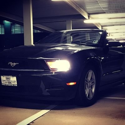 GabrielWoodham's profile picture. Don't let your memes be dreams.