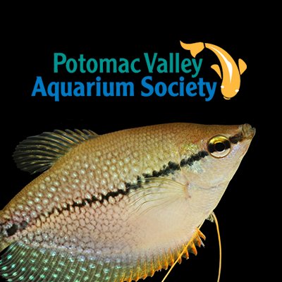 Visit Potomac Valley Aquarium Society Profile