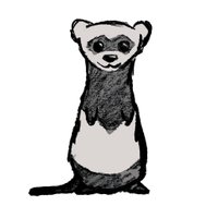 muesli 🐧 (@mueslix) 's Twitter Profile Photo muesli 🐧 (@mueslix) 's Twitter Profile Photo