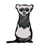 mueslix's profile picture. I build open-source software and make little gadgets.

From a time when email was cool. Hard to distinguish from a good programmer.