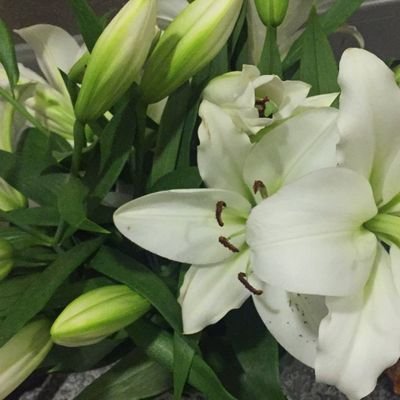 ابحث عن كفيفة ‏سيدة مرتبة التواصل واتس
00963936416359