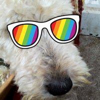 haunting the narrative (@flamingxpie) 's Twitter Profile