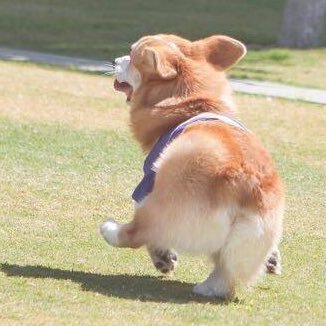 Naokoyuee7's profile picture. Plave💙💜💓❤️🖤