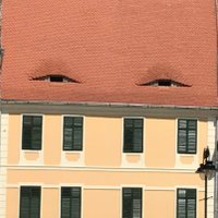 Miti Della Mura (@mitidellamura) 's Twitter Profile