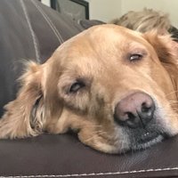 Richard (@richarde1228) 's Twitter Profile Photo Richard (@richarde1228) 's Twitter Profile Photo
