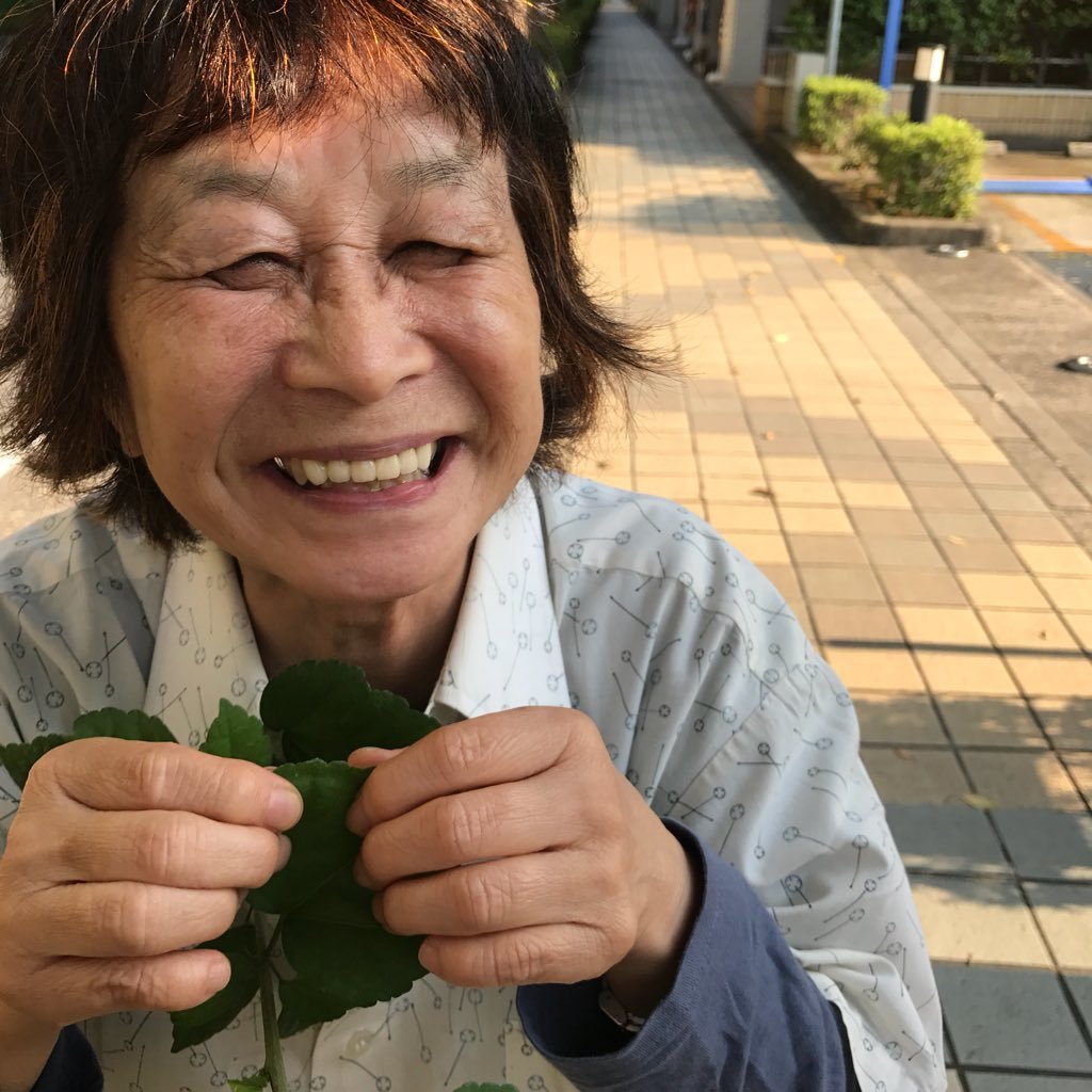 森の中で小鳥と野あそびするのが好き🌿🕊🍃🕊草笛でいろんな場所で活動中🎶🍃🎶             #草ぶえの丘  #草ぶえ #草笛