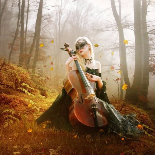 Stradivari999's profile picture. Purveyor of fine, handcrafted violin, cello, viola and bows. Contemporary and antique.

Music school.  Top grade education by maestro level teachers.