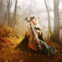 Stradivari Strings(@Stradivari999) 's Twitter Profile Photo