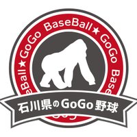 石川県のGOGO野球 (@5589_bh) 's Twitter Profile Photo