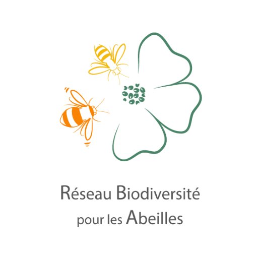 Le RBA est une association d’intérêt général, qui rassemble l'#apiculture et l'#agriculture et qui agit en faveur des #pollinisateurs.
➡️ contact@asso-rba.fr