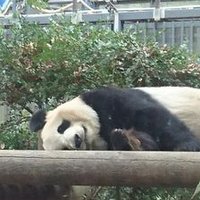 comehellandhighwater (@twttchahw) Twitter profile photo