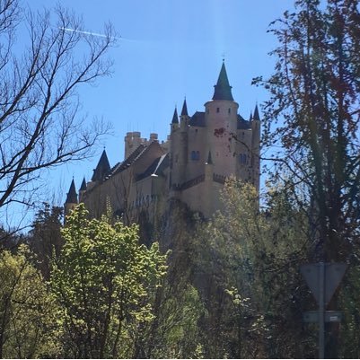 PetanoEnano's profile picture. 