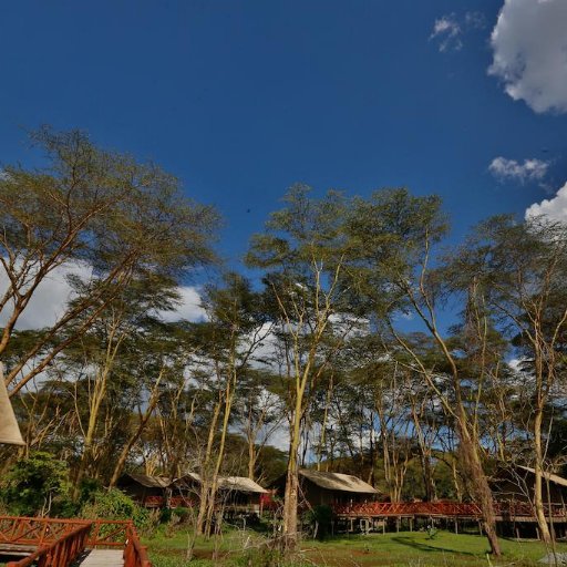 The first Luxury camp which is situated at the shores of Lake Naivasha with a spectacular view of the Lake with 8 luxury tents.The camp is truly relaxing.