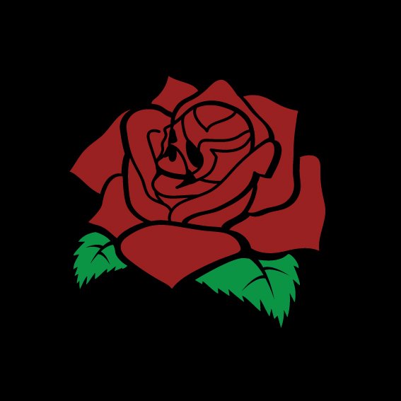 🌹💀