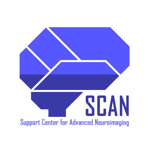 SCAN Neurorad Bern