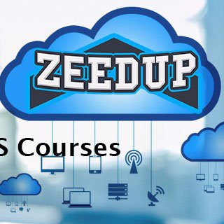 Zeedup Technologies Profile