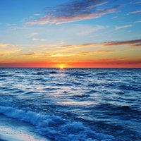 MKA (@mkamilk) Twitter profile photo