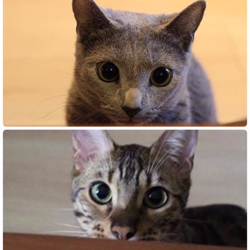 omoidehouse's profile picture. 😎