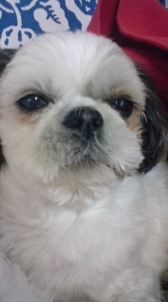 ken_inagaki's profile picture. 渋谷区で営業やってます。 休日はサーフィンしてます！   色々な事を学んで吸収したいです。