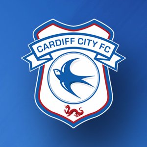 Cardiff City Supporters Trust hit out at director Steve Borley after public  Twitter spat - Wales Online