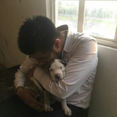 GSolis342's profile picture. 