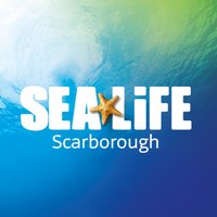 SEA LIFE Scarborough (@sealifescarboro) 's Twitter Profile