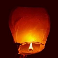 Welcome to sky lanterns. We are very happy to know that you are in celebrating mode. You are trying to celebrate your moment more awesome.