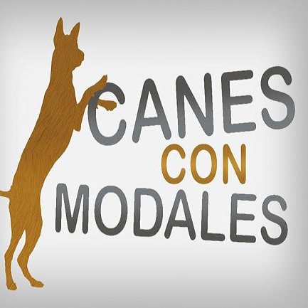 CanesConModales's profile picture. 