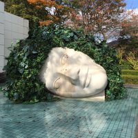 マユミ (@kashiwagasuki) Twitter profile photo