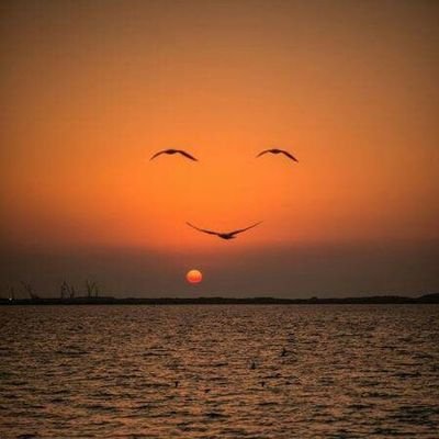 Pancho68699185's profile picture. 