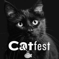 Catfest(@catfestlondon) 's Twitter Profile Photo