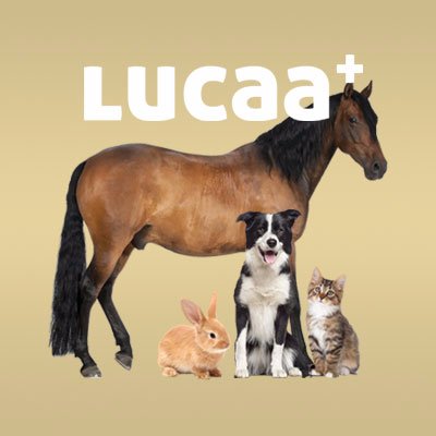 Account of the brand Provilan LUCAA+ for #pets & #horses | #WeLoveAnimals | You can also follow us on https://t.co/1zfeJ71gZU & https://t.co/maqoPYiZeD | 🇬🇧🇫🇷