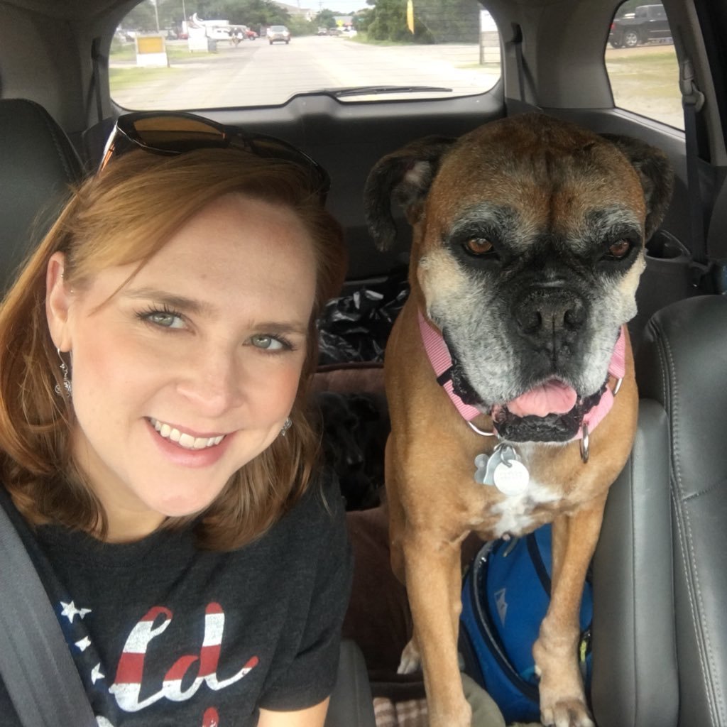 LMoser1113's profile picture. 