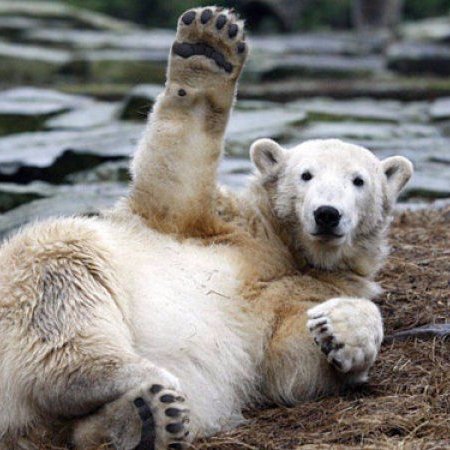 SARinSCIENCE's profile picture. 