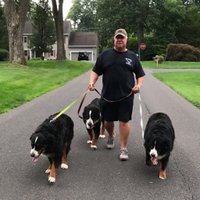 Rory Doolittle (@doodad21) 's Twitter Profile