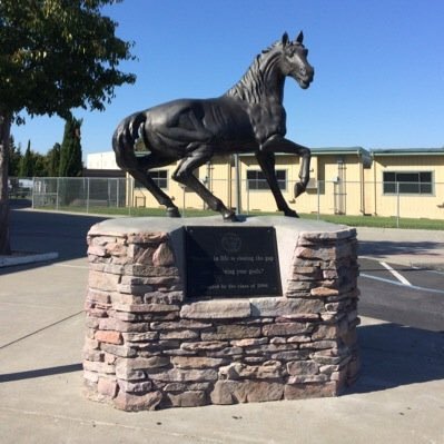 RHSPTSO's profile picture. 