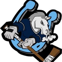 The official twitter page of the Oswego Stampede Junior 'A' Hockey Club - Member of the NA3HL