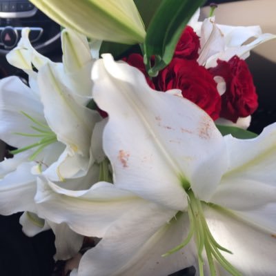 AnRENDwar_33_38's profile picture. Master of CS, I believe everything is possible. @Saudi_EUni