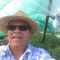 Paul TPK Morgan (@tepoakaroro) 's Twitter Profile