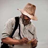 Steve Salisbury (@implexidens) 's Twitter Profile