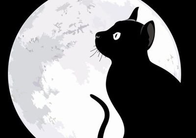 ☆黒猫★さんのプロフィール画像