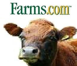 http://t.co/RIRg5vN6pO provides beef producers, agri-businesses and other agriculture producers, news and information on the beef industry.