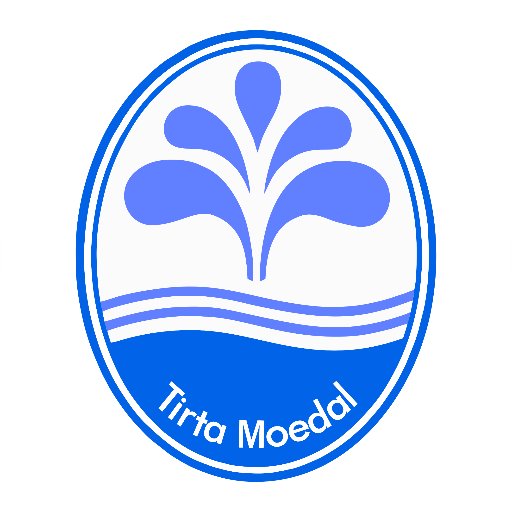 PDAM Tirta Moedal Profile