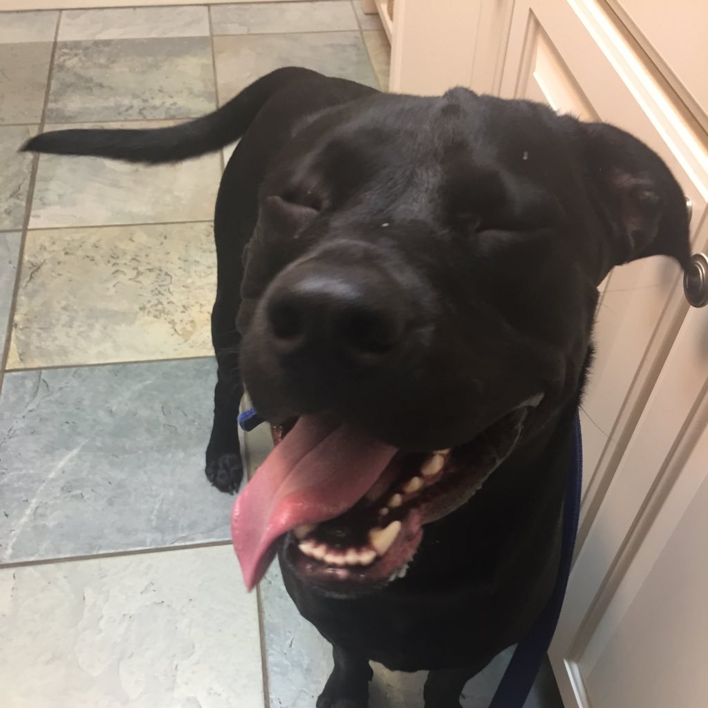 keithdbowers's profile picture. You matter more than anything because without you there wouldn't be them!