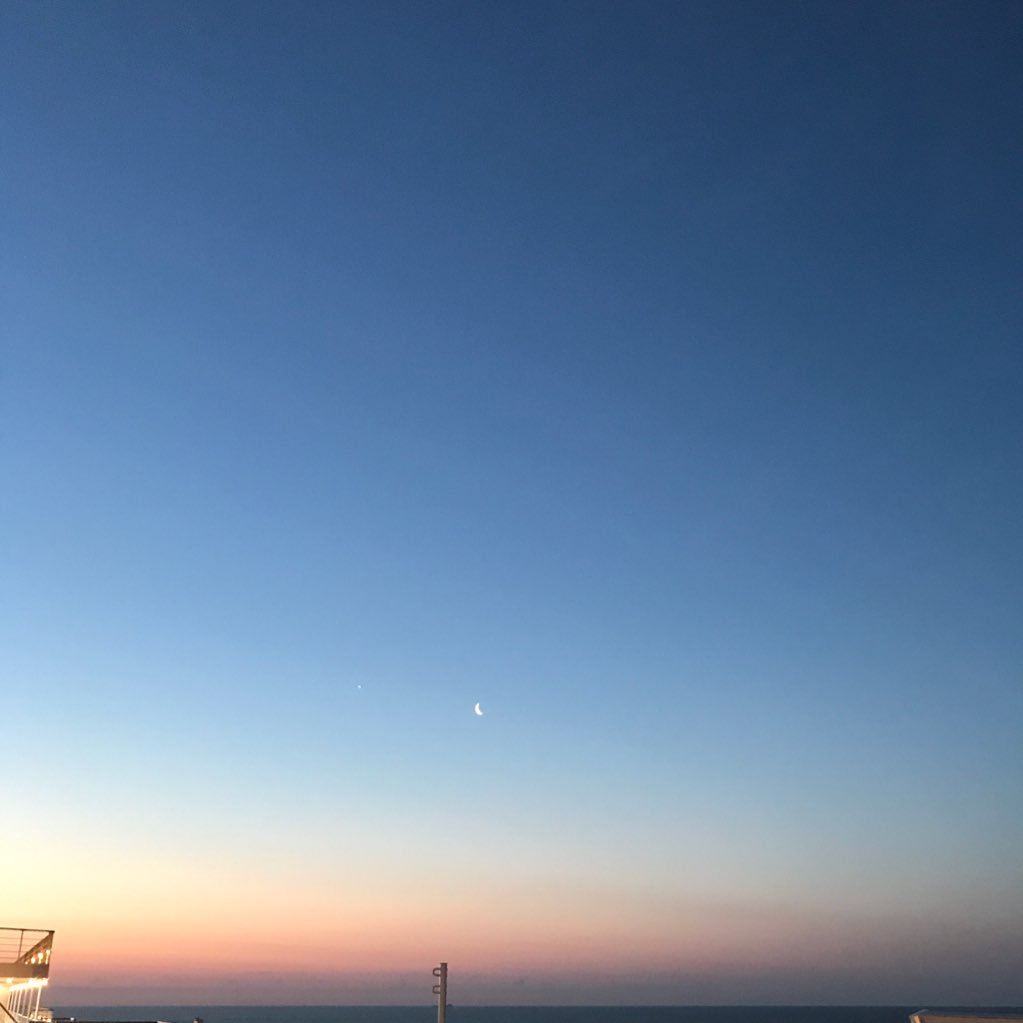 magnerico's profile picture. 