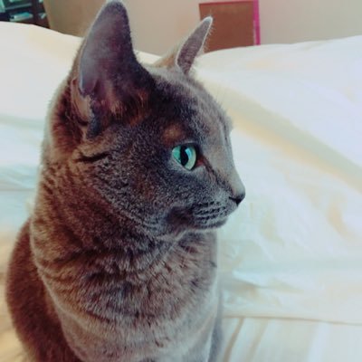 1115Zoe's profile picture. ニュース