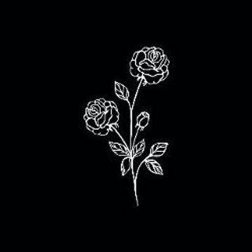 parjes_alafari's profile picture. الإحترام لا يصلح للجميع . . فالبعض لا يقتنع حتى يُهان