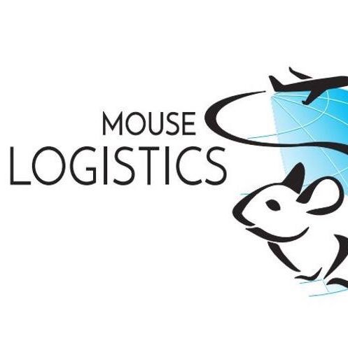 LogisticsMouse's profile picture. With over 17 year of experience in the freight forwarding industry we will provide you with competitive pricing for your needs.